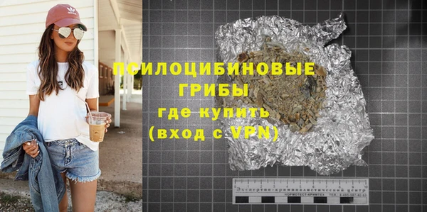 ПСИЛОЦИБИНОВЫЕ ГРИБЫ Алзамай